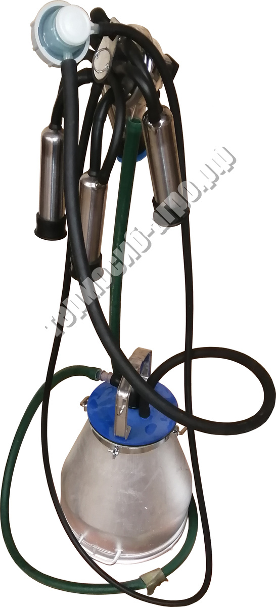 Доильный аппарат 'Майга'